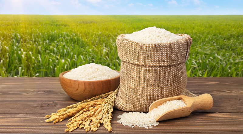 قیمت برنج سودی را نصیب کشاورز و تولیدکننده نمیکند، رییس اتحادیه برنجفروشان شهر بابل گفت: قیمت انواع برنج در یک ماه گذشته به دلیل بر هم خوردن تعادل میان عرضه و تقاضا در بازار افزایش ۳۰ تا ۴۰ درصدی را تجربه کرده است.
