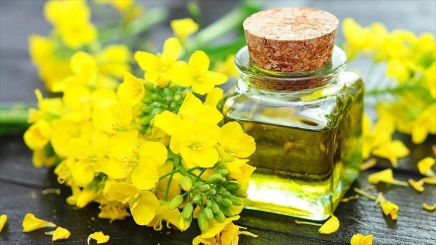 هزینه ۲ میلیارد دلاری برای واردات دانههای روغنی، دبیر انجمن روغن نباتی ایران با تاکید بر اینکه ۲ میلیارد دلار برای واردات دانههای روغنی هزینه میشود، اظهار کرد: طی چند دهه گذشته حداکثر تولید دانههای روغنی در کشور ۷۰۰ هزار تن در سال بود که اگر بخواهیم خودکفا شویم این رقم باید حداقل به ۴ تا ۶ میلیون تن برسد.