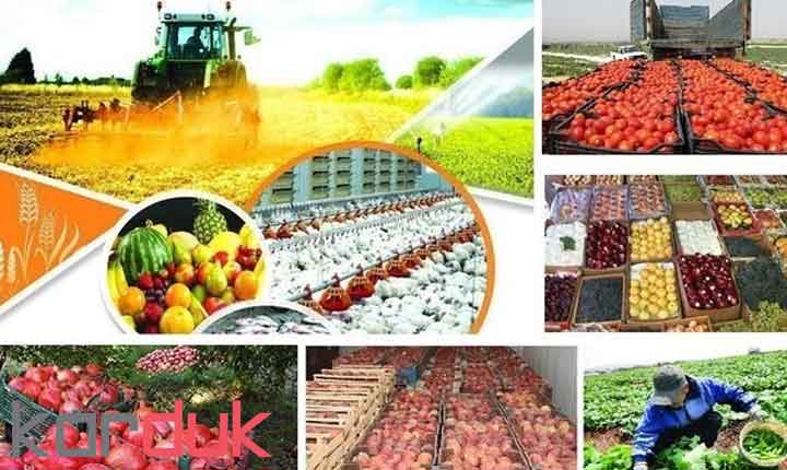 سرمایهگذاری ۲۲ همتی در ۶۲۷ پروژه حوزه صنایع تبدیلی و غذایی، رئیس مرکز توسعه مکانیزاسیون و صنایع کشاورزی از بهرهبرداری ۶۲۷ طرح و پروژه با سرمایهگذاری ۲۲ هزار میلیارد تومانی در سال ۱۴۰۳ خبر داد.