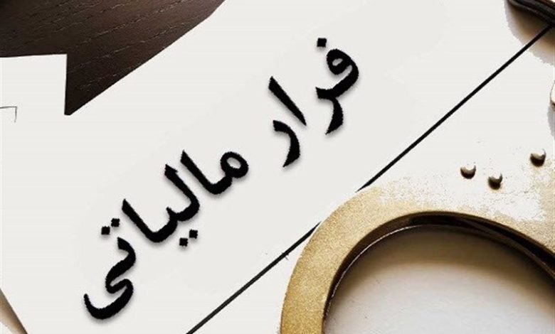 تقویت حسابرسی سیستمی در راستای حمایت هدفمند از تولید است