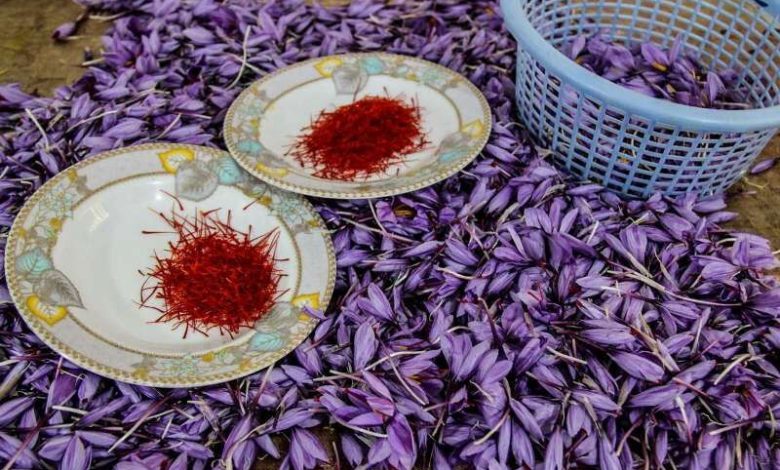 به گزارش تولیدگران کارآفرین به نقل از روستانیوز: الهام صادقی- تولید بیش از ۹۰ درصد زعفران جهان در ایران این انتظار را رقم می‎زند که کشورمان باید فرمانروای بلامنازع این بازار باشد. این در حالی بوده که اخبار موجود نشان می‌دهند، این گنجینه ملی در حال از دست دادن ارزش و جایگاه خود در بازارهای جهانی است.