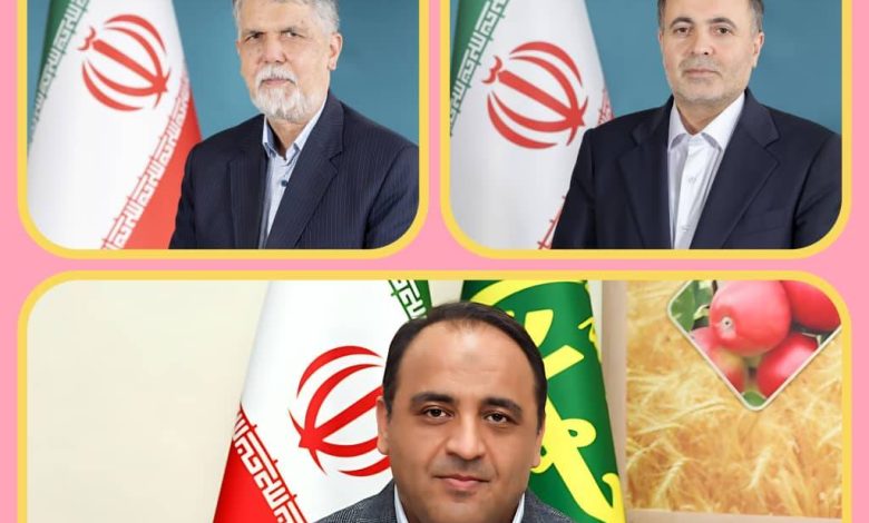 به گزارش تولیدگران کارآفرین به نقل از روابط عمومی سازمان جهاد کشاورزی آذربایجان شرقی، احمد سجادی‌فر| در ارزیابی سالانه عملکرد دستگاه‌ها در سامانه ملی انتشار و دسترسی آزاد به اطلاعات (iranfoia) طی بازه تیرماه ۱۴۰۳ تا تیرماه ۱۴۰۴، سازمان جهادکشاورزی استان آذربایجان شرقی موفق به کسب رتبه شایسته تقدیر در شاخص پاسخگویی شد.