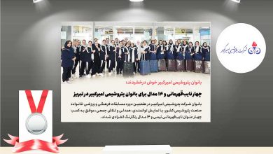 به گزارش تولیدگران کارآفرین به نقل از روابط عمومی و امور بین‌الملل پتروشیمی امیرکبیر، هفتمین دوره مسابقات فرهنگی و ورزشی خانواده صنعت پتروشیمی کشور با حضور تیم‌هایی از سراسر ایران و با مشارکت کارکنان، همسران و فرزندان دختر بالای ۲۶ سال، به میزبانی شرکت پتروشیمی تبریز برگزار شد.